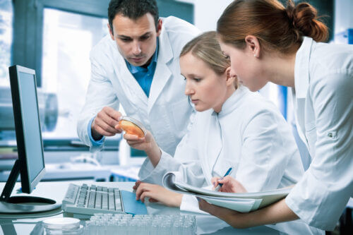 Academic Researchers